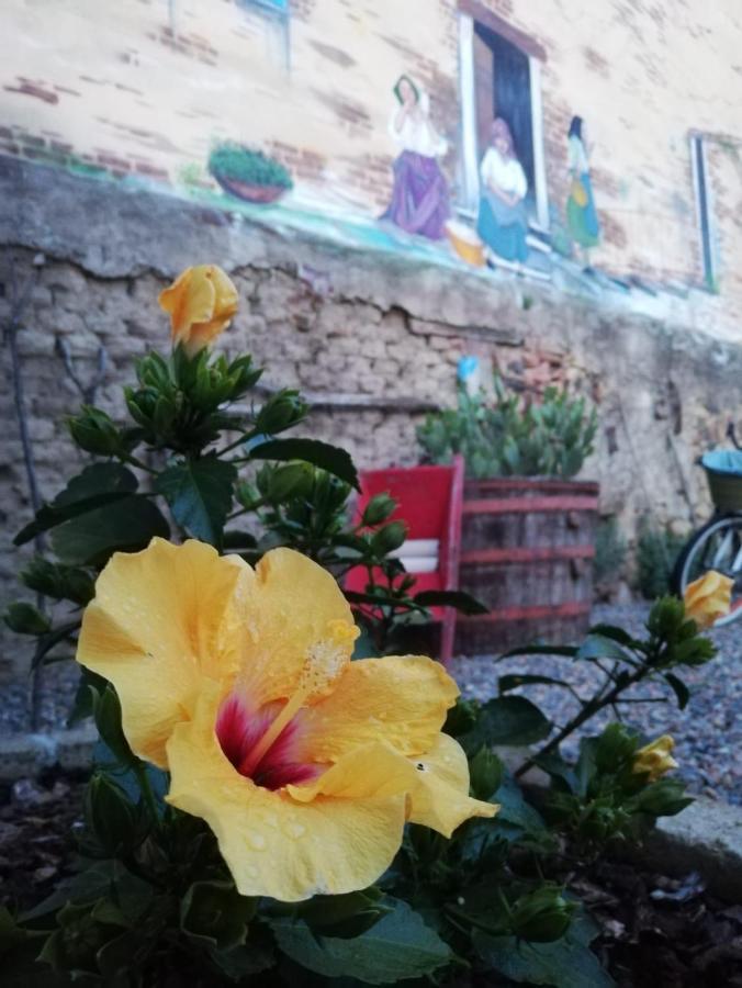 Centu Concas Acomodação com café da manhã Muravera Exterior foto